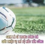 CAM Là Gì Trong Bóng Đá - Giới Thiệu Vị Trí Bộ Não Tấn Công