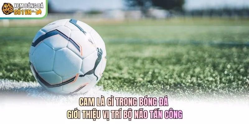 CAM Là Gì Trong Bóng Đá – Giới Thiệu Vị Trí Bộ Não Tấn Công