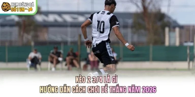 Kèo 2 3/4 Là Gì - Hướng Dẫn Cách Chơi Dễ Thắng Năm 2026