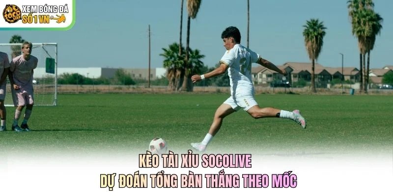 Kèo Tài Xỉu Socolive - Dự Đoán Tổng Bàn Thắng Theo Mốc